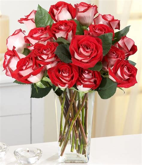 Check spelling or type a new query. Pluck not the wayside ‪#‎flower‬; It is the traveler's ...