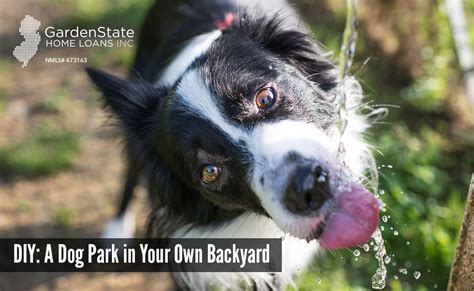 The sandpit is perfect for digging; DIY Dog Park: Build a Dog Park in Your Backyard | Do It ...