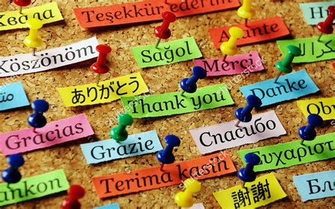 Language Wallpapers Top Free Language Backgrounds Wallpaperaccess