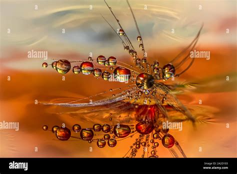 Mysterys hi-res stock photography and images - Alamy