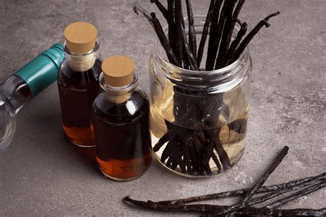 What Are The Best Vanilla Beans In The World Our Simple Guide Spice