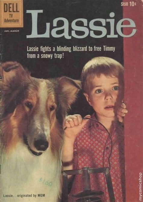 Lassie Rough Collie Collie Dog Smooth Collie Old Comics Vintage