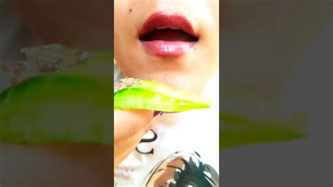 ASMR Cucumber Eating Sounds Asmr Shorts YouTube