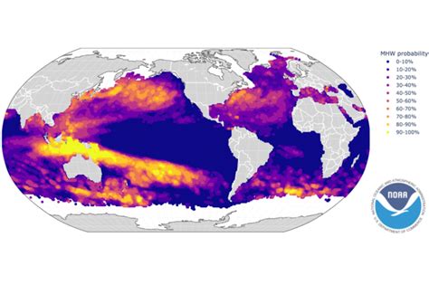 New Global Forecasts Of Marine Heatwaves Foretell Ecological And