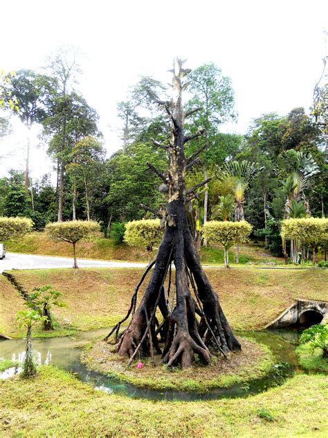 Vihara ini sangat bersih dan sangat. Taman Pertanian Malaysia - Taman Botani Negara, Shah Alam ...