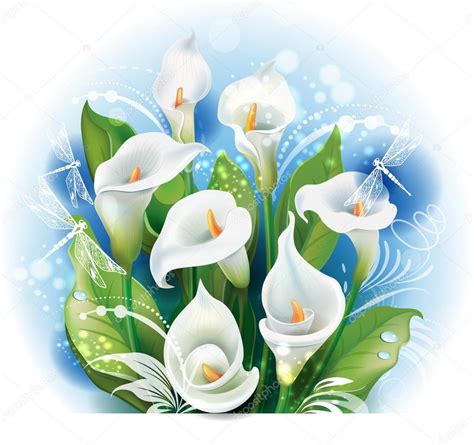 Bouquet Of White Calla Lilies Stock Vector Wikki33 100359508