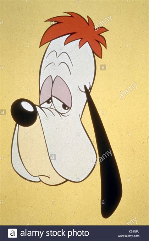 Droopy Dog Stock Photos And Droopy Dog Stock Images Alamy