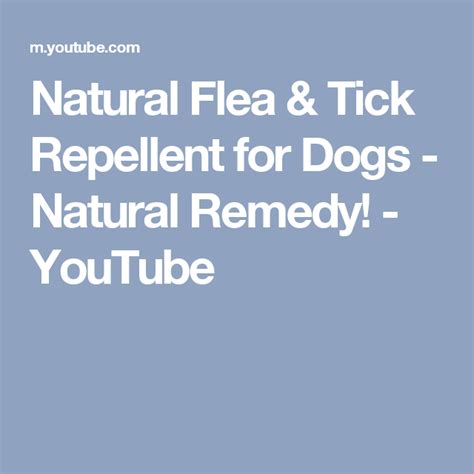 The Words Natural Flea And Tick Repellent For Dogs Natural Remedy Youtube