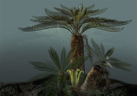 Cycads Cycads Became Less Prevasive By The Late Cretaceous Angiosperms Flowering Plants