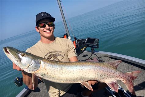 It is the largest member of the pike family, esocidae. Muskie vs. Pike: All You Need to Know