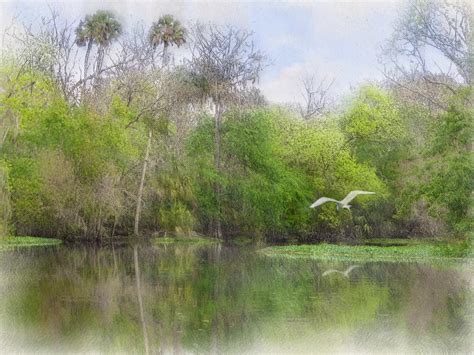 Wallpaper Landscape Painting Birds Lake Reflection Winter River