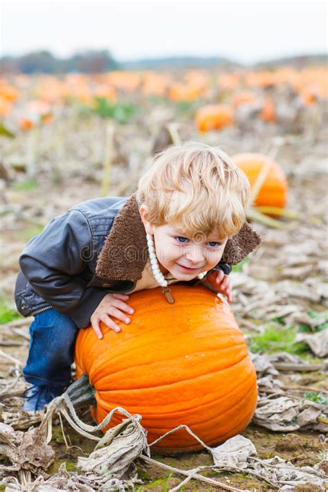 Little Toddler Kid Boy With Big Pumpkin In Garden Stock Image Image