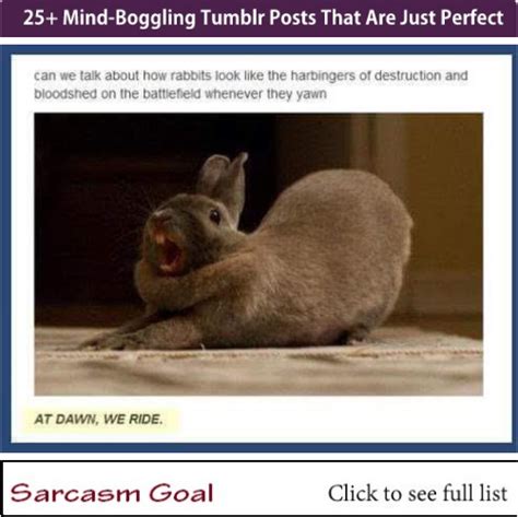 25 Mind Boggling Tumblr Posts That Are Just Perfect Funny Animal
