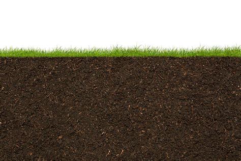 Soil Cross Section Stock Photos Pictures And Royalty Free Images Istock