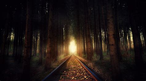 Dark Railway Sunlight Forest Trees Wallpapers Hd Desktop And