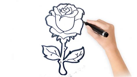 Como Dibujar Una Rosa Facil Paso A Paso Youtube