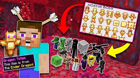 Minecraft But There Are So Many Custom Totems Youtube