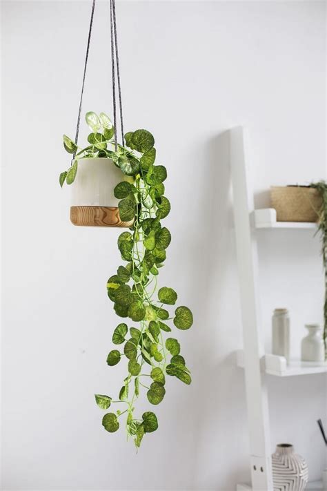 100 Beautiful Hanging Plant Stand Ideas Here Are Tips On How To