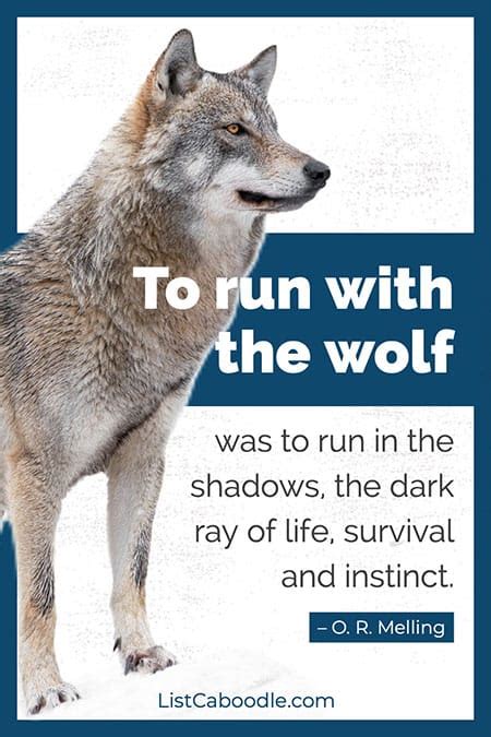 99 Inspiring Wolf Quotes To Howl At The Moon Listcaboodle