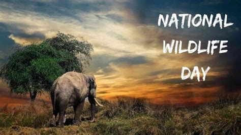 National Wildlife Day 2022 Us Date History And Significance
