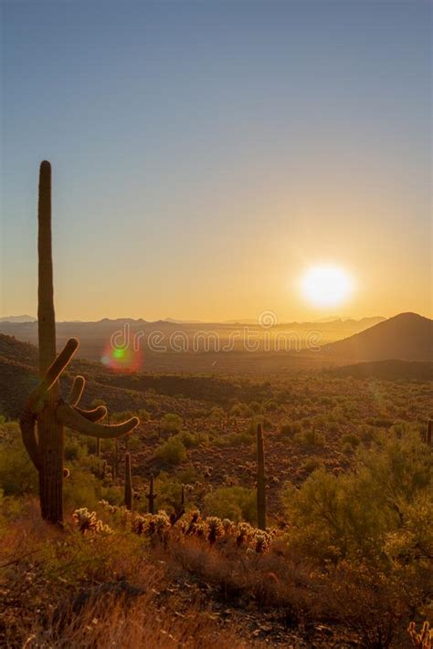 Arizona Desert Sunrise With A Clear Blue Sky Stock Photo Image Of