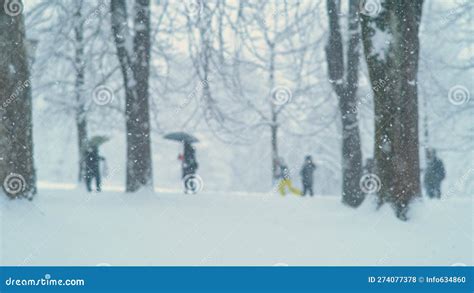 Adults And Children Are Having Fun In Park During A Snowstorm Stock