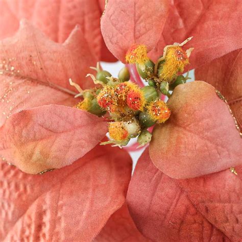 Sparkling Velvet Peach Artificial Poinsettia Stem Craft Supplies Sale