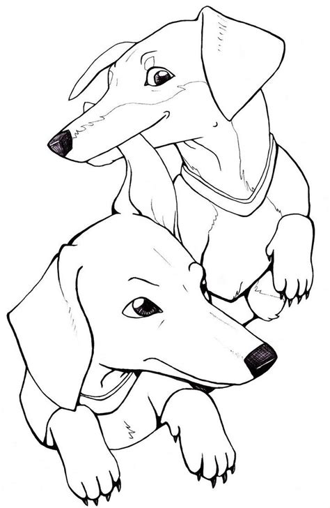 Dachshund Coloring Pages At Free Printable Colorings