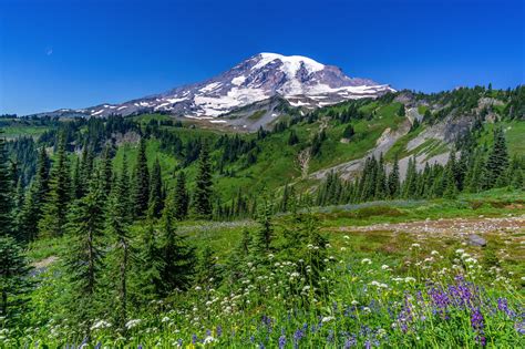 15 Washington State National Parks Forests And Monuments Adventurers