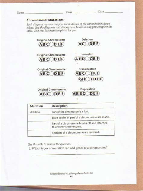 Download the student worksheet (on the right). Chromosomal Mutations Worksheet | Biology worksheet, Biology lessons, Mutation