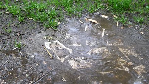 Raindrops Falling Into A Puddle On The Green Grass Stock Footage Video