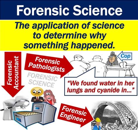 What Is Forensic Science Definition And Examples Market Business News