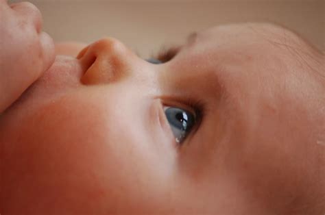 Faktor Umum Penyebab Keringat Dingin Pada Bayi Dan Cara Mengatasinya