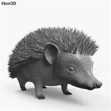 3d Model Of Hedgehog Hd In 2020 Hedgehog 3d Model Model