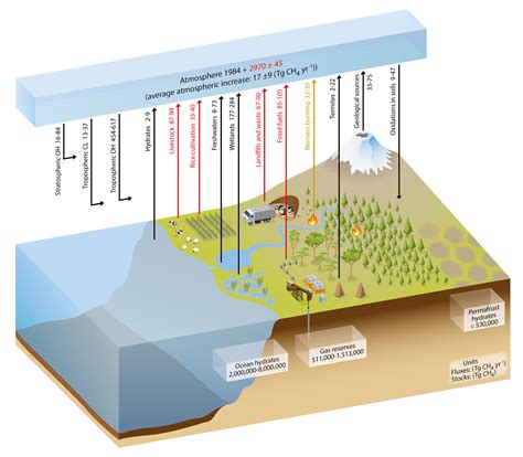 Overview Of The Global Carbon Cycle Second State Of The Carbon Cycle