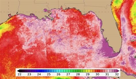 Florida Ocean Temperatures At ‘downright Shocking Levels Turcopolier