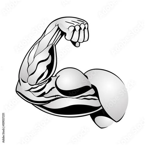 Bicep In Pose Illustration Showing Arm Muscles Flexing In Black And