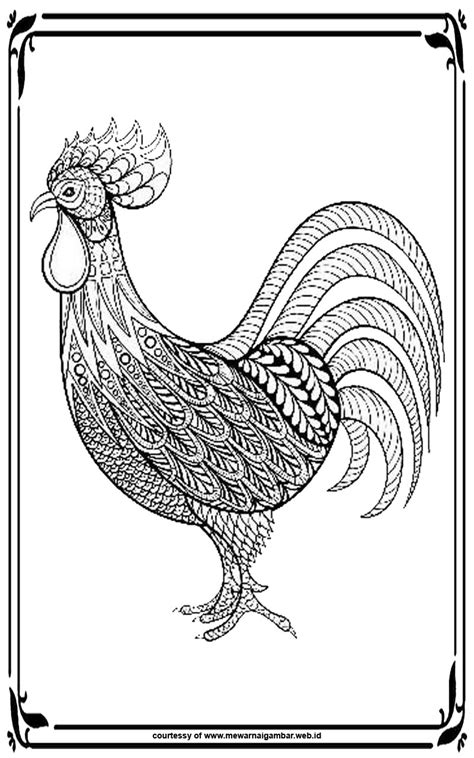 Mewarnai gambar ayam mewarnai gambar. Mewarnai Gambar Ayam Untuk Dewasa | Mewarnai Gambar