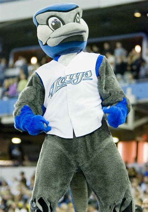 Blue Jays Mascot Ace Sports Baseball Baseball Players Major League