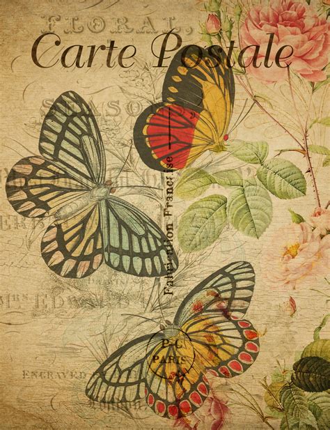 Butterflies Vintage Postcard Free Stock Photo Public Domain Pictures