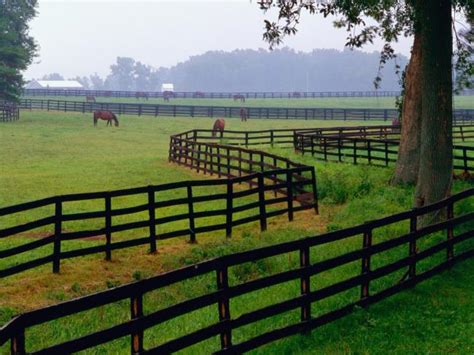 Hdmax Horse Farm Goshen Kentucky Tapety Kraje Hd
