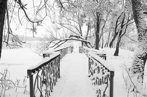 Beautiful Winter Landscape Forest And Lake In The Snow New Years