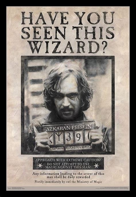Harry Potter - Wanted Sirius Black Laminated & Framed Poster Print (22
