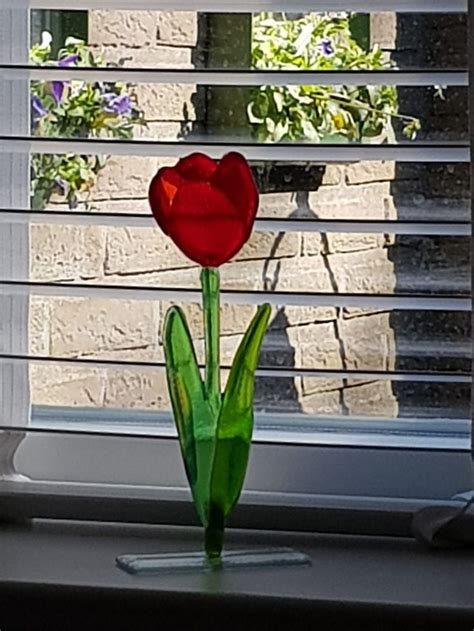 A Red Tulip Sitting On Top Of A Window Sill