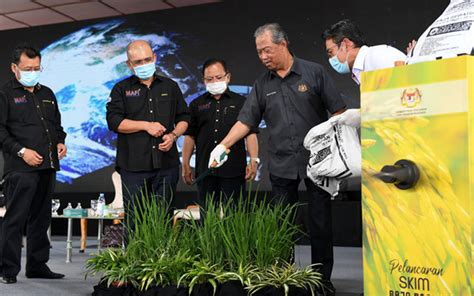 Kerajaan bersetuju menaikkan elaun sara hidup nelayan dari rm250 kepada rm300 sebulan, kata perdana menteri tan sri muhyiddin yassin. Elaun sara hidup nelayan naik RM300 | Free Malaysia Today ...