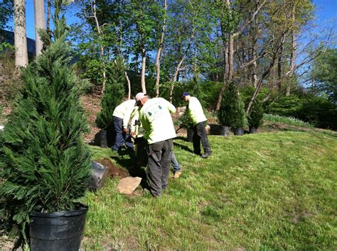 Nyc And Long Island Tree Planting Benefits Clearview Tree And Land