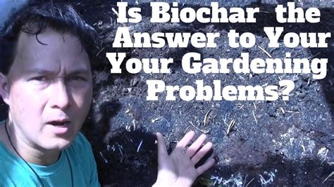 Is Biochar The Answer To All Your Gardening Problems Your Gardening
