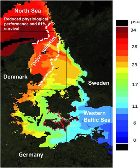 The Salinity Gradient Between The Brackish Western Baltic Sea And The