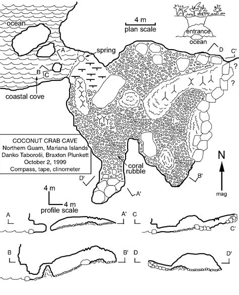Speleogenesis Zones Of Enhanced Dissolution And Associated Cave