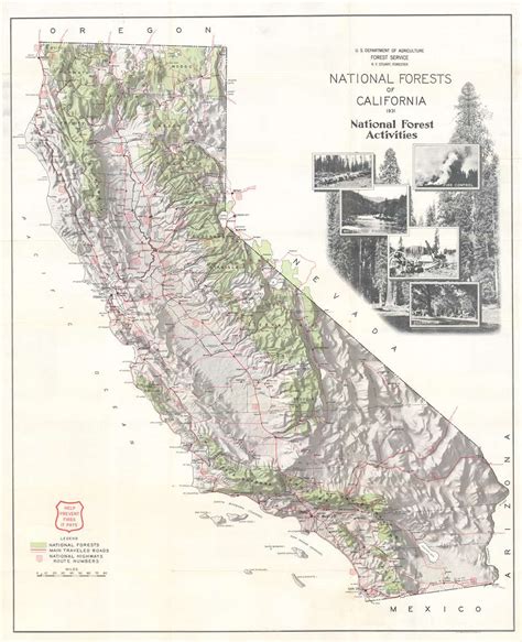 National Forests Of California Geographicus Rare Antique Maps